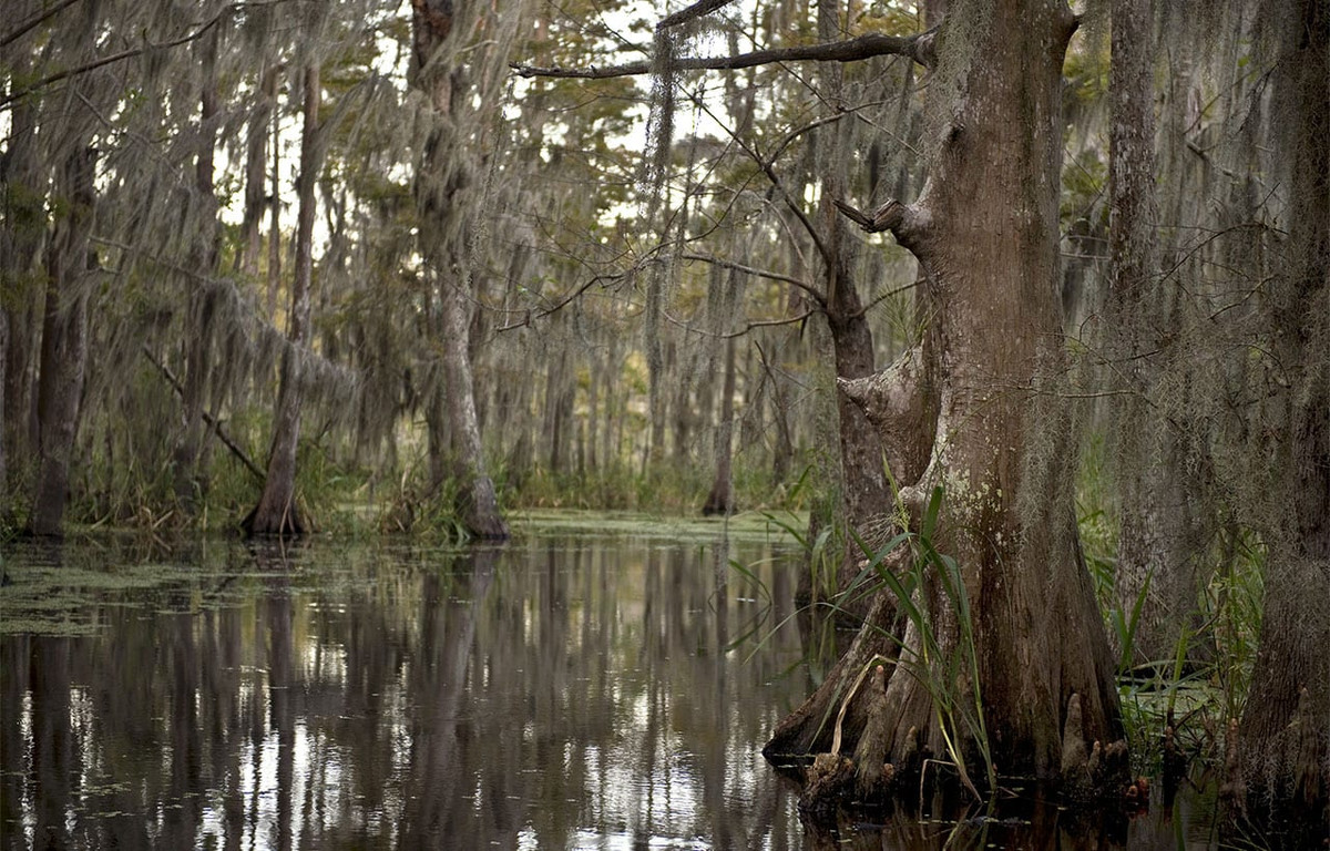 Sự việc này càng trở nên bí ẩn hơn khi một số người dân địa phương lan truyền thông tin rằng, vụ mất tích tập thể trên có liên quan đến lời nguyền của nữ vương Julie White.