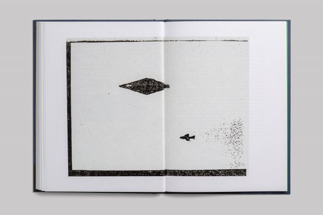 Dù công bố các bức ảnh chụp UFO năm 1990 nhưng Bộ Quốc phòng Anh thông báo sẽ không tiết lộ danh tính 2 người chụp ảnh trước năm 2076 vì "lo ngại về quyền riêng tư".