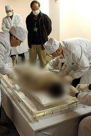 Theo các chuyên gia, Tân Truy phu nhân là vợ của một hầu tước từng cai quản vùng đất Hồ Nam vào khoảng 2.200 năm trước dưới thời nhà Hán. Bà được chôn cất cùng với hơn 1.000 cổ vật quý giá như vàng bạc, quần áo lụa, nhạc cụ...