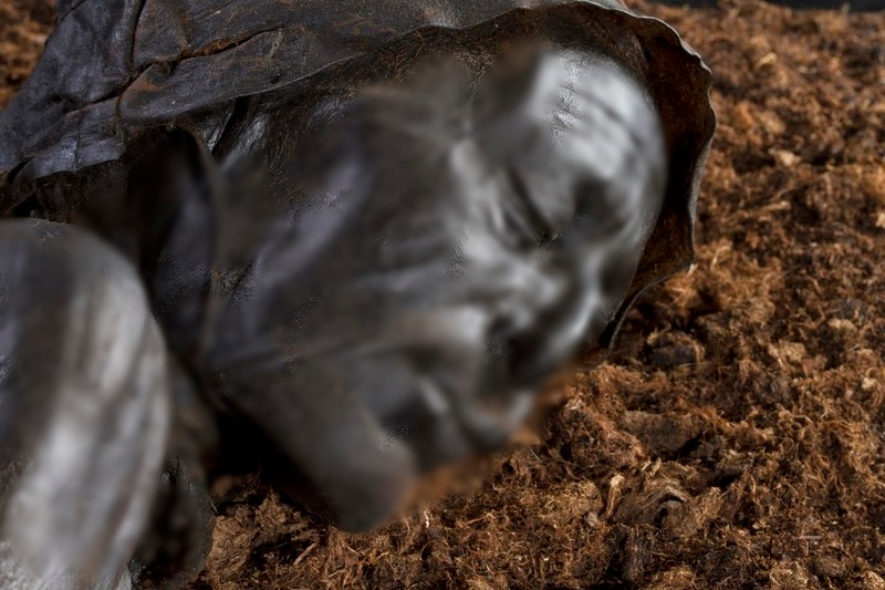 Ban đầu, xác ướp Tollund Man nguyên vẹn tới mức khiến nhiều người cho rằng đó là nạn nhân của một vụ án mạng gần đây do trên cổ người này có 1 sợi dây thừng. Sau khi kiểm tra, các chuyên gia xác định người đàn ông này chết vào khoảng năm 405 - 380 trước Công nguyên.