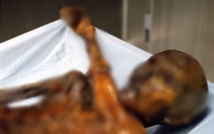 Theo các chuyên gia, Otzi cao khoảng 1,60m và nặng khoảng 50 kg. Ông qua đời khi khoảng 40 tuổi và là nạn nhân của một vụ giết người bằng cung tên. Trong dạ dày của Otzi có bằng chứng về vi khuẩn Helicobacter pylori. Đây một loại vi khuẩn gây loét dạ dày và viêm dạ dày. Thêm nữa, người đàn ông này có dấu hiệu bị viêm khớp, sâu răng, bệnh nướu răng và chấn thương răng miệng.