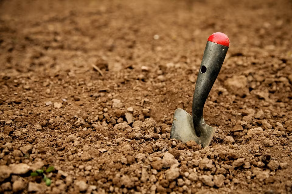 Vậy nên, người đàn ông nhanh chóng về nhà lấy quốc xẻng tới hang động với hy vọng sẽ tìm thấy các cổ vật quý giá. Thế nhưng, sau khi đào xới, người này thất vọng vì những bảo vật đã bị kẻ trộm mộ lấy đi hết.