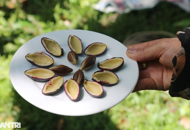 "Từ nhiều năm nay, quả trám đen đã được nhiều người biết đến và ưa thích. Năm 2021, quả trám đen muối của xã đã đạt chuẩn sản phẩm OCOP 3 sao nên sản phẩm tiêu thụ dễ dàng hơn. Thu nhập từ cây trám của người dân thấp nhất là 3-5 triệu đồng, có hộ cao nhất khoảng 70 triệu đồng", ông Nguyễn Xuân Huy cho biết.