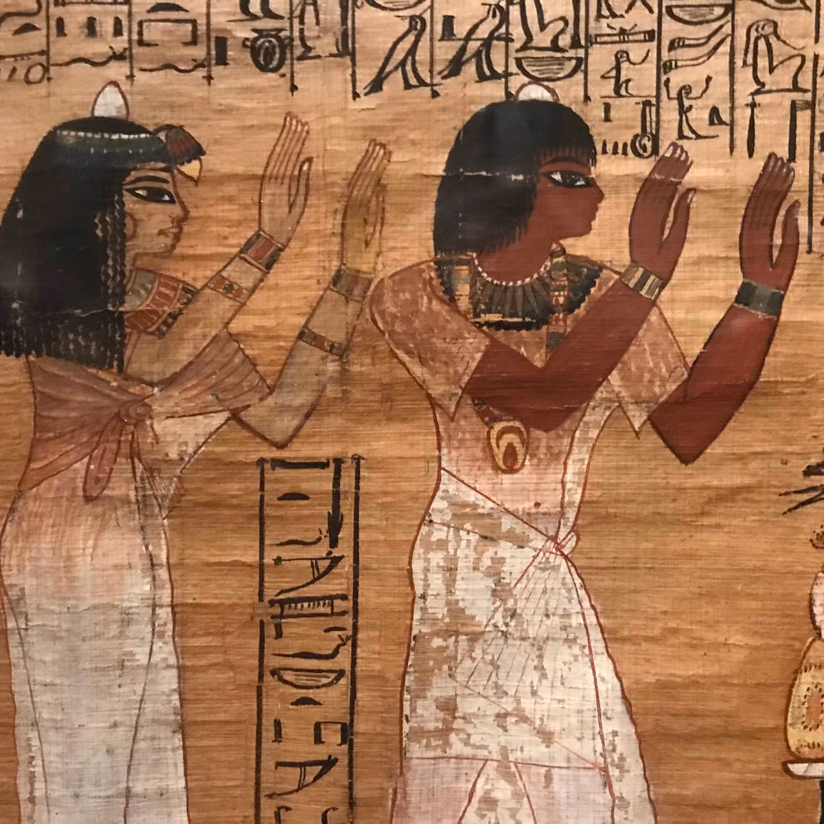 Các kiểm tra cũng cho thấy người phụ nữ sống cách đây khoảng 2.700 năm có những dị tật về xương. Đặc biệt, chấn thương ở hộp sọ đáng chú nhất.