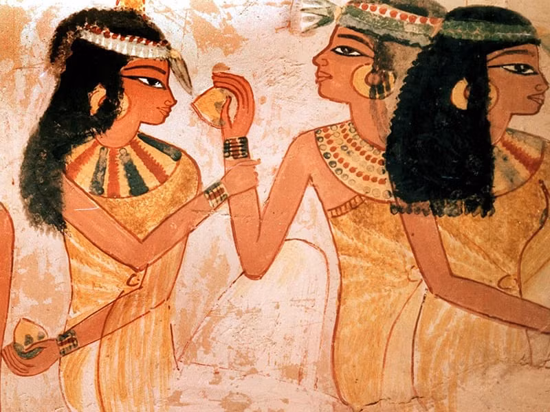 Những bằng chứng về chấn thương ở hộp sọ cho thấy người phụ nữ này từng trải qua một cơn đột quỵ.