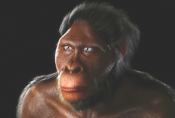 Từ đây, các chuyên gia đi đến kết luận Sahelanthropus tchadensis là loài đầu tiên biết đi bằng hai chân.