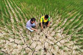 Theo các chuyên gia, gieo mây nhân tạo là một trong những biện pháp quan trọng trong việc tăng cường giám sát và ứng phó với thiên tai của Trung Quốc.