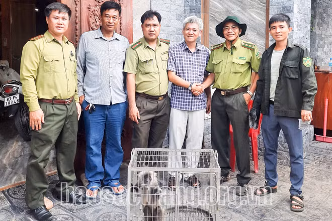 Vào ngày 18/8, Chi cục Kiểm lâm Sóc Trăng và Trung tâm Cứu hộ, bảo tồn và Phát triển sinh vật (Vườn Quốc gia Cát Tiên) tiếp nhận 5 cá thể động vật hoang dã do ông Nguyễn Hữu Tuấn tự nguyện giao nộp.