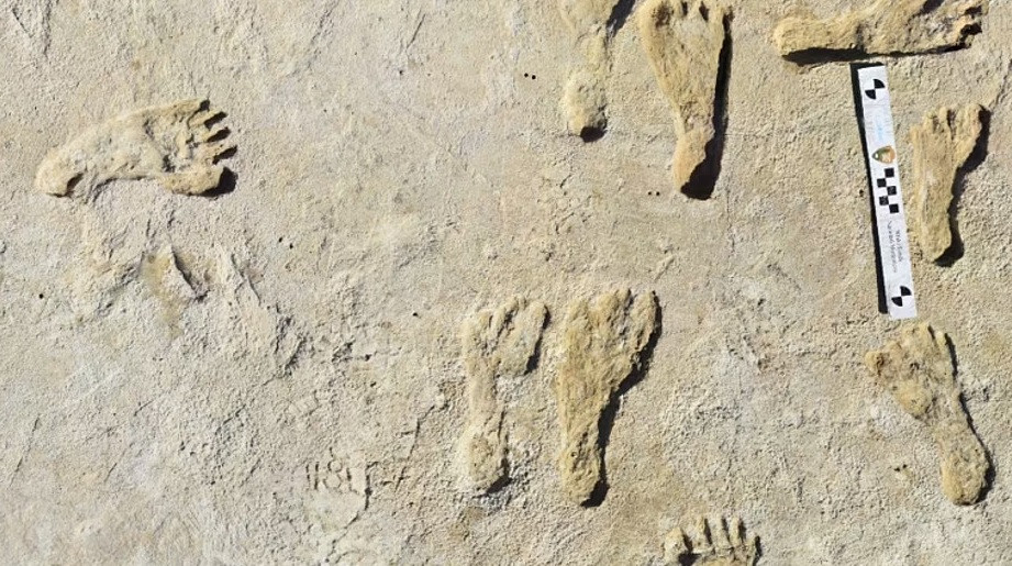 Lý giải cho việc các dấu chân thoắt ẩn thoắt hiện, nhà khảo cổ học Duke cho rằng, khi mưa trút xuống cũng là lúc nước nhanh chóng được hấp thụ sâu vào lớp trầm tích bên dưới.