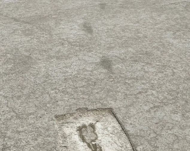 Điều này khiến mặt đất trở lại với màu sắc bình thường vốn có. Lúc này, những dấu chân in dưới bùn sẫm màu sẽ được hiện lên, nổi bật so với môi trường xung quanh.