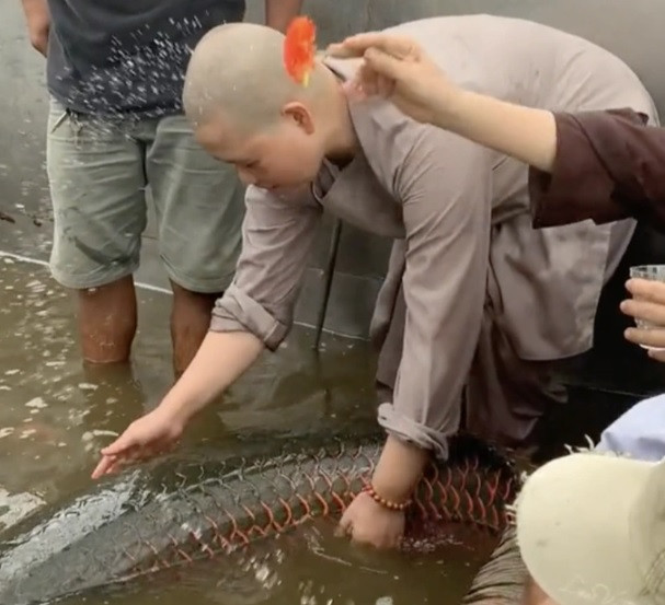 Đoạn clip ghi lại cảnh một nhóm người phóng sinh con cá hải tượng long "khủng" xuống sông đã thu hút hàng triệu lượt xem cùng hàng chục ngàn lượt bình luận, chia sẻ và những bình luận trái chiều. Vụ việc này được cho là ở một bến phà thuộc quận 8, TP.HCM.