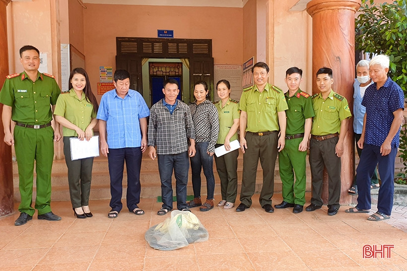 Con rắn hổ mang chúa do một người dân ở xã Gia Hanh (Can Lộc) đã bắt được vào ngày 28/8 khi nó bò vào trang trại chăn nuôi. Nhận thấy đây là loài động vật hoang dã quý hiếm nên sau khi bắt được, người dân đã chủ động liên hệ với chính quyền địa phương, Hạt Kiểm lâm huyện Can Lộc để giao nộp. Cá thể rắn hổ mang chúa do người dân này giao nộp dài được bàn giao dài hơn 3m, nặng khoảng 5,5 kg và ở trong tình trạng khỏe mạnh. Ảnh: Báo Hà Tĩnh.