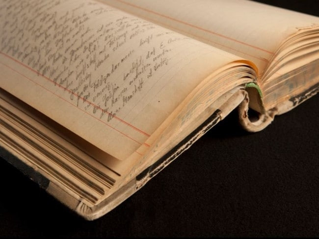 Tổ chức Silesian Bridge săn tìm kho báu đầy vàng của phát xít Đức tại cung điện cổ trên dựa theo các manh mối trong cuốn nhật ký của một sĩ quan Schutzstaffel có bí danh Michaelis. Schutzstaffel được viết tắt là SS - một tổ chức quân sự của Đức quốc xã dưới thời Hitler.