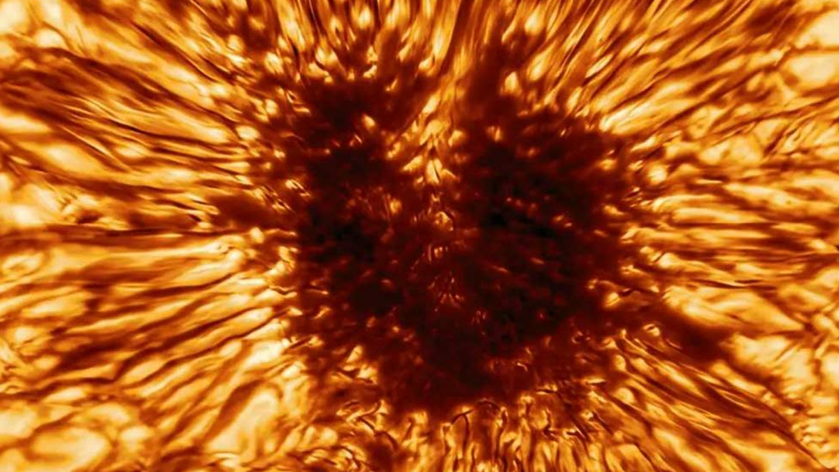 Chia sẻ về "họng súng vũ trụ", Cơ quan Vũ trụ châu Âu (ESA) cho hay vết đen Mặt Trời có thể sẽ chỉ tạo ra pháo sáng loại M (mức độ trung bình). Mất điện vô tuyến có thể xảy ra khi Trái Đất trúng pháo sáng nhưng chỉ trong thời gian ngắn.