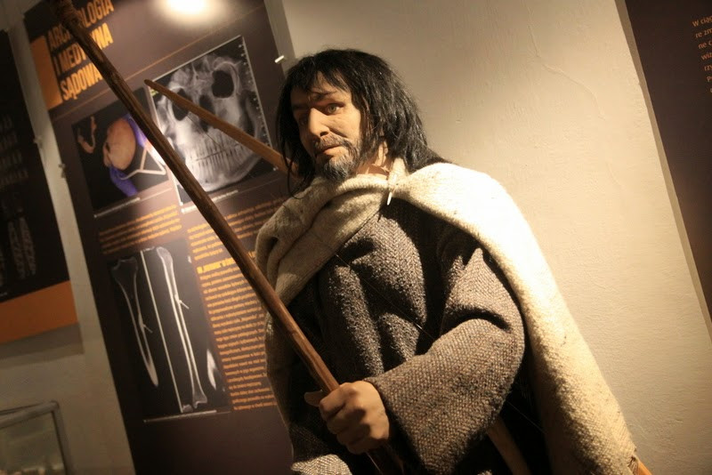 Corded Ware là một cộng đồng nông nghiệp phát triển với nghề chăn nuôi bò, cừu và trồng lúa mạch. Theo giới chức địa phương, việc tìm thấy các ngôi mộ từ thời kỳ này ở Tây Nam nước Đức là rất hiếm.