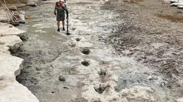 Theo người phát ngôn Stephanie Salinas Garcia, một số dấu chân được phát hiện tại công viên ở Glen Rose, Texas đến từ loài khủng long Sauroposeidon. Chúng cao khoảng 18m và có thể nặng tới gần 50 tấn khi trưởng thành.