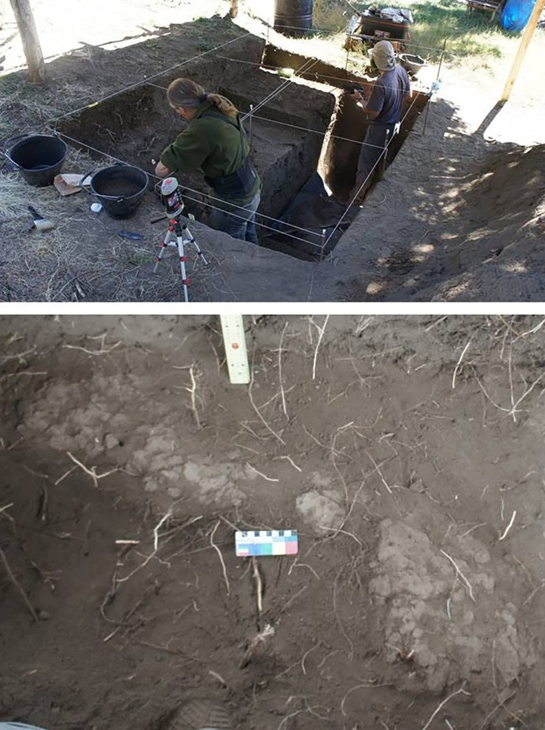 Người phụ nữ trên được các nhà khoa học xác định qua đời khi 17 - 25 tuổi. Ngôi mộ của người này là mộ cổ lâu đời nhất trong số 3 ngôi mộ thời kỳ tiền Tây Ban Nha được phát hiện tại địa điểm khảo cổ Newen Antug gần Hồ Lacár, miền tây Argentina.