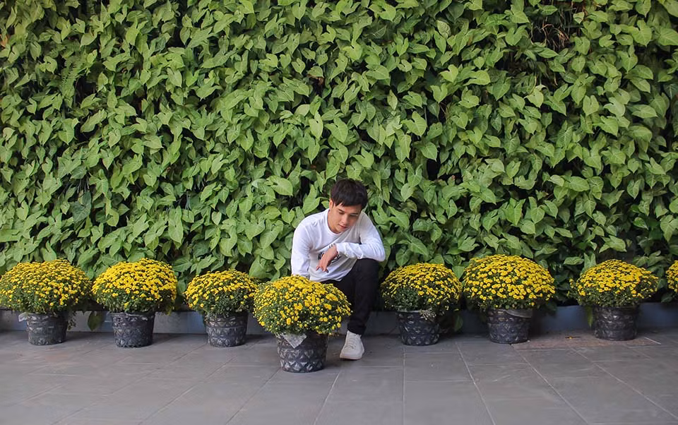 Nam ca sĩ phụ mẹ trang hoàng nhà cửa.Trước sân nhà, Hồ Quang Hiếu trưng khá nhiều hoa cúc.