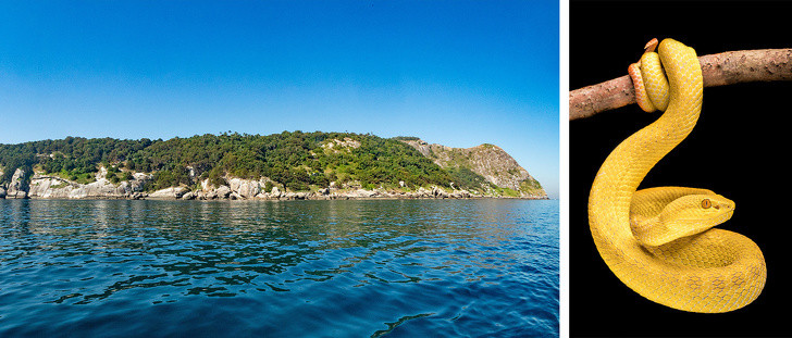 Đảo Ilha de Queimada Grande còn được gọi là đảo Rắn nằm ở Brazil là một trong những hòn đảo đặc biệt nhất hành tinh. Nơi đây được mệnh danh là vùng đất nguy hiểm mà con người không nên đặt chân tới.