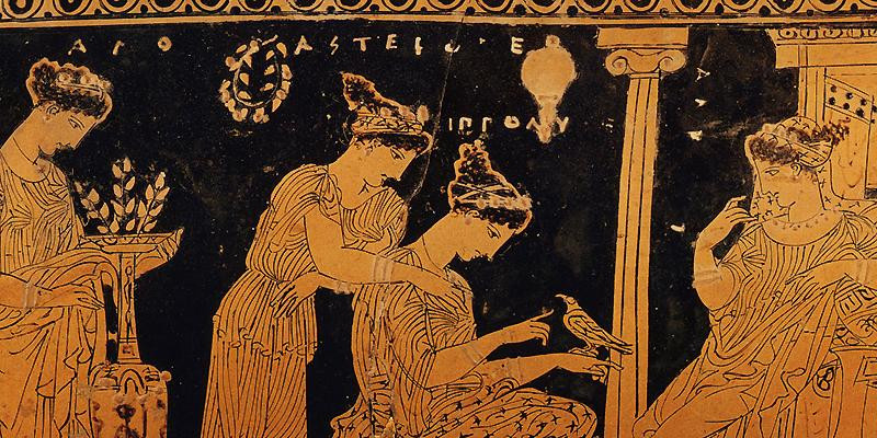 Đặc biệt, người Hy Lạp cổ đại còn cho phép kết hôn với anh chị em họ.