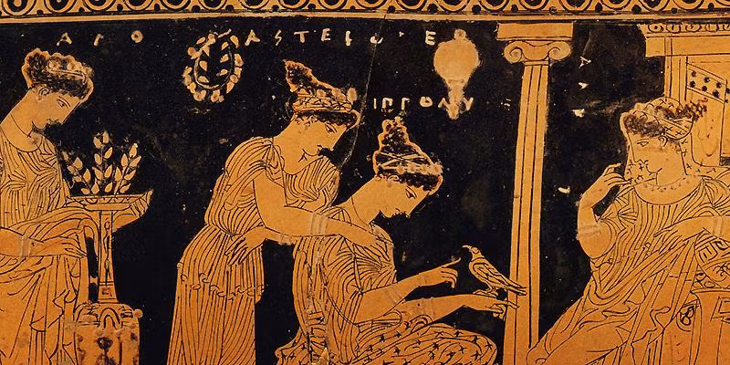 Đặc biệt, người Hy Lạp cổ đại còn cho phép kết hôn với anh chị em họ.