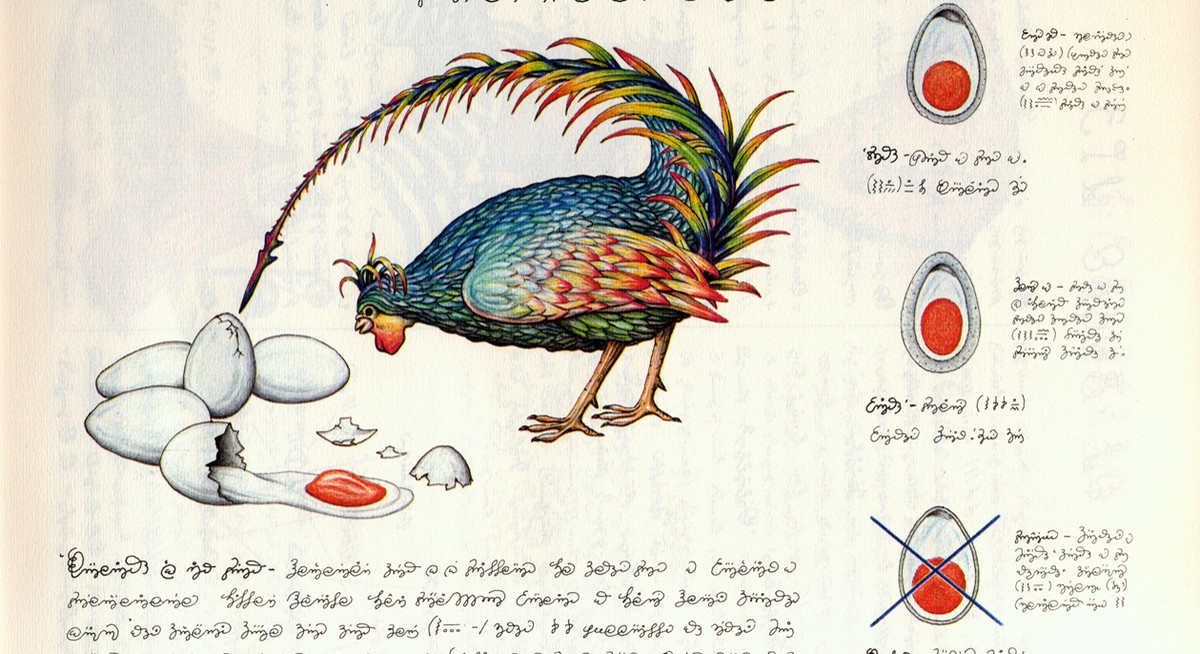 Kể từ khi được xuất bản lần đầu vào đầu những năm 80, Codex Seraphinianus đã trở thành cuốn sách bí ẩn thu hút giới chuyên gia, độc giả giải mã bí ẩn về tác phẩm này.