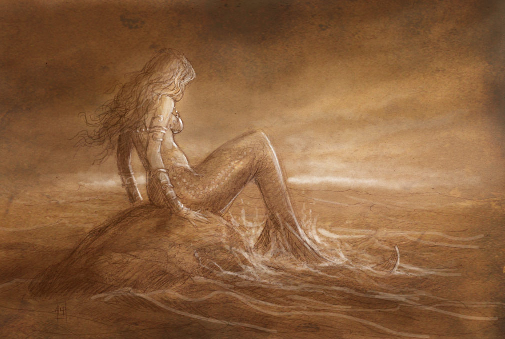 Sau khi những thông tin về việc phát hiện thi hài người cá, các chuyên gia, nhà khoa học vô cùng quan tâm.