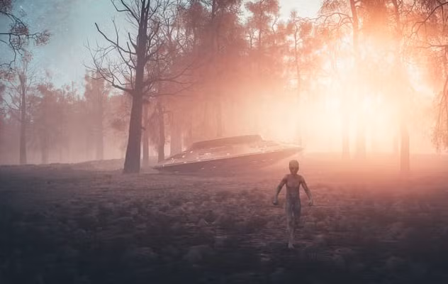 Khi đến nơi, các nhà điều tra Liên Xô đã tìm được 3 người ngoài hành tinh. Trong số này, 2 người ngoài hành tinh đã chết. Người ngoài hành tinh còn lại vẫn còn sống khi được các nhà điều tra tìm thấy. Tuy nhiên, về sau người ngoài hành tinh cuối cùng cũng chết.