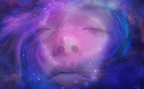 Họ cảm nhận được linh hồn rời khỏi thân xác và chứng kiến người thân đang túc trực bên giường bệnh và lo sợ sẽ mất họ mãi mãi.