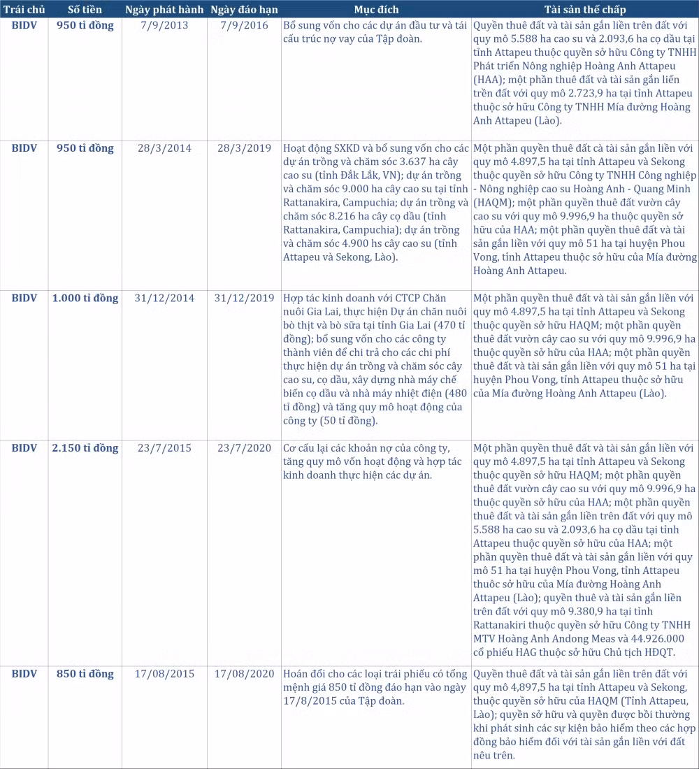 Thoi ong Tran Bac Ha, bau Duc phat hanh trai phieu cho BIDV lam gi?