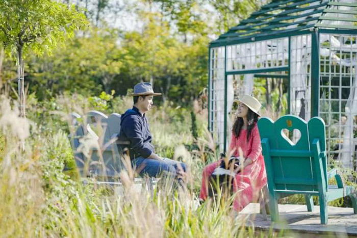 Vì thế, bà chủ khu vườn và ông xã đã nghỉ việc và về vùng ngoại ô để thực hiện ước mơ. 5 năm bỏ công sức vun vén, cuối cùng họ cũng tạo nên một khu vườn đẹp như mơ.