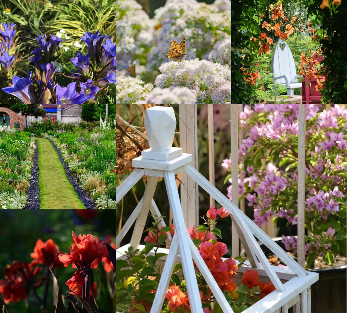 Giờ đây, mỗi mùa có khoảng 100 đến 200 bông hoa đa dạng về chủng loại. Hou Ye cũng chia sẻ rằng, chị dành riêng một khu đất “thử nghiệm” để các loại hoa và cây tự do mọc trên đất.