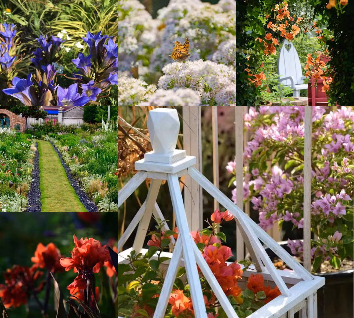 Giờ đây, mỗi mùa có khoảng 100 đến 200 bông hoa đa dạng về chủng loại. Hou Ye cũng chia sẻ rằng, chị dành riêng một khu đất “thử nghiệm” để các loại hoa và cây tự do mọc trên đất.