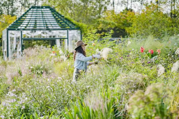 Chị Hou Ye kể lại rằng, lần đầu tiên chị đến, nơi đây chỉ là mảnh đất nông nghiệp dùng để trồng rau và cây ăn quả.