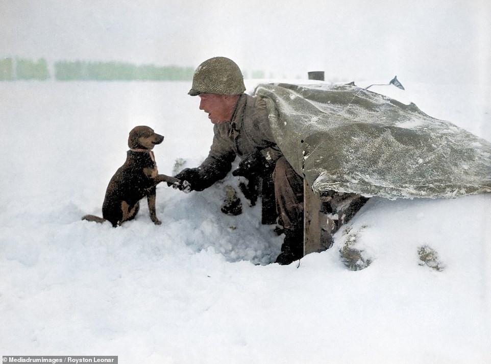 Binh sĩ Mỹ bên chú chó nhỏ khi mai phục tại khu vực tuyết phủ trắng xóa.