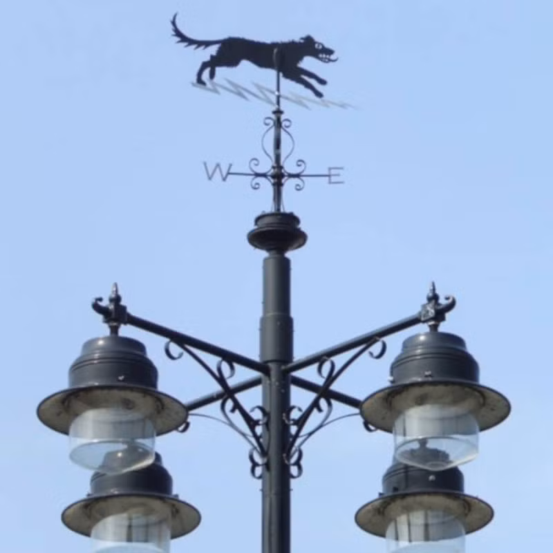 Theo lời kể của nhân chứng, Black Shuck là con chó sói ma có bộ lông màu đen và có hàm răng nanh đen lớn.