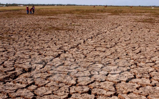 Lời tiên tri này của Nostradamus chưa trở thành sự thực. Nếu nhân loại thực sự trải qua 40 năm hạn hán thì con người chỉ có thể tồn tại vài ngày mà không có nước.