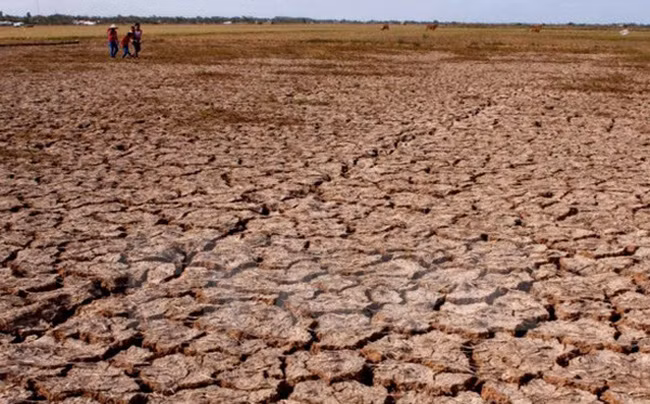 Lời tiên tri này của Nostradamus chưa trở thành sự thực. Nếu nhân loại thực sự trải qua 40 năm hạn hán thì con người chỉ có thể tồn tại vài ngày mà không có nước.