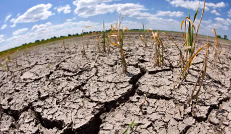 Tuy nhiên, thời tiết trên toàn cầu đang trở nên tồi tệ hơn bởi sự nóng lên toàn cầu và khu vực Bắc Mỹ đang phải đối mặt với 98% nguy cơ hạn hán từ năm 2050 - 2099.