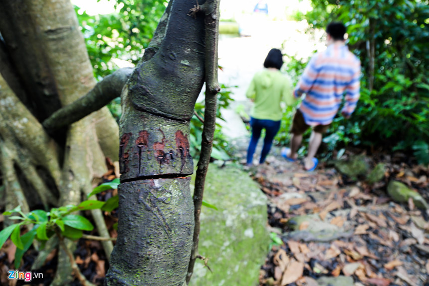 Sau khi xuất hiện nhiều vết khắc này, ban quản lý đã cắt cử người trông coi và nhắc nhở du khách chung tay bảo vệ di sản.