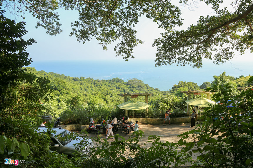 Giờ đây, nhất là khi bán đảo Sơn Trà đang phát triển du lịch theo hướng sinh thái, cây đa cổ góp phần không nhỏ cho sự phát triển của TP. Mỗi khi du khách tới đây không chỉ ngắm nhìn cây đa di sản, mà còn được cảm nhận một không khí trong lành, phía trước là biển cả bao la, xung quanh là núi rừng, tạo một cảm giác trong lành dễ chịu.