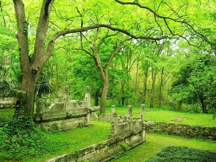 Bi an lang mo vi dai nhat TG, chua hang ngan tan bau vat-Hinh-13