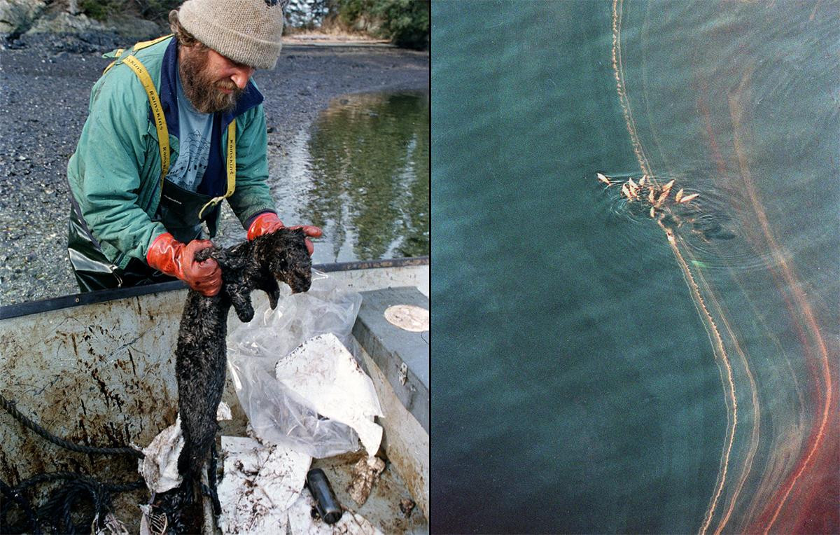 Hàng tiệu thùng dầu bị tràn biển làm ô nhiễm 2.340 km bờ biển. Sự cố nghiêm trọng này khiến ngư trường khu vực Prince William Sound bị đóng cửa trong suốt nhiều năm. Theo ước tính, thiệt hại do vụ tràn dầu lên đến 15 tỉ USD.