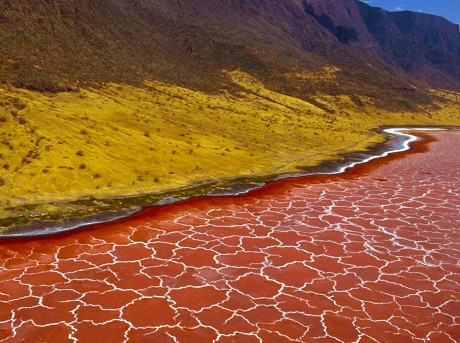 Điều này đã được các chuyên gia lý giải là do một loại vi khuẩn đặc biệt mang sắc tố đỏ. Không ít du khách cũng như nhiếp ảnh gia đã ghé thăm hồ nước kỳ bí này để ngắm chiêm ngưỡng những xác chết hóa đá độc đáo.