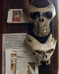 Thậm chí, Ahnenerbe còn quan tâm đến vật thể bay không xác định (UFO) của người ngoài hành tinh và tìm kiếm nguồn sức mạnh vượt trội nhằm trở thành siêu cường thống trị thế giới.