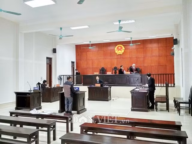 Ky an danh chet 14 con lon o Quang Ninh: 2 lan hoan xu phuc tham