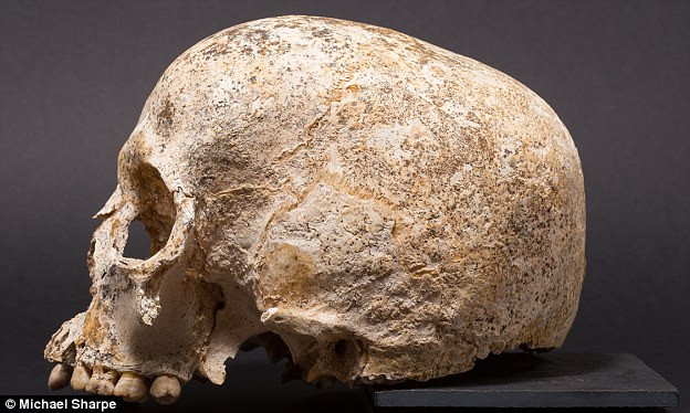 Các chuyên gia cũng tìm thấy dấu vết của một số loại thảo dược tại nơi chôn cất Ava. Điều này cho thấy Ava đã được điều trị cho một chấn thương nào đó trước khi qua đời.