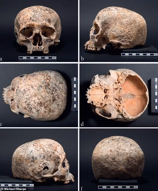 Sau khi phát hiện bộ hài cốt đặc biệt trên, các chuyên gia suy đoán Ava qua đời cách đây 3.700 năm.