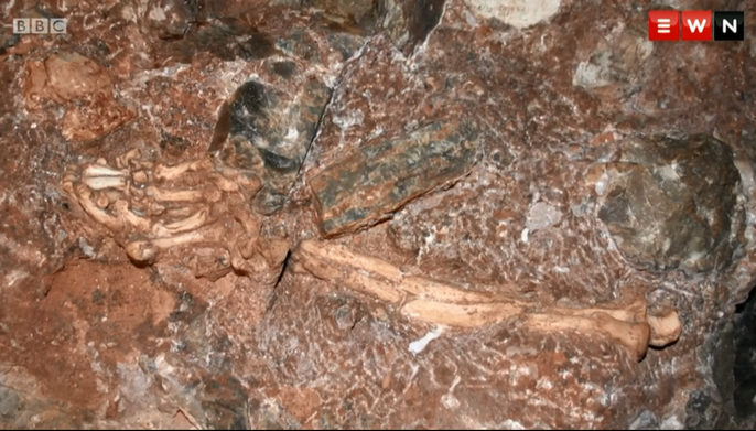 Tiến sĩ Ronald Clarke thuộc Đại học Witwatersrand ở Johannesburg - Nam Phi cho biết ông đã đấu tranh suốt 2 thập kỷ để phản đối việc phân loại trước đó. Với những bằng chứng khoa học vừa công bố, họ dự định phân loại người phụ nữ này vào loài Australopithecus prometheus, một loài mới lấy từ tên của người khổng lồ Prometheus trong thần thoại Hy Lạp (vị thần đã chế tạo ra loài người từ đất sét).