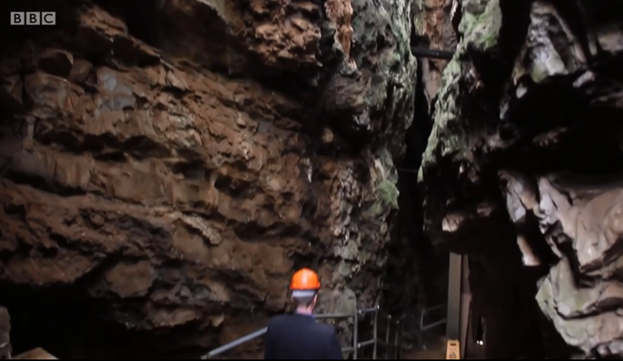 Các nghiên cứu trước đây đã chứng minh chi Người từng có rất nhiều loài khác nhau nhưng đến nay, hầu hết đã tuyệt chủng, chỉ còn con người hiện đại sống sót.